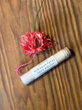 Hibiscus Petal Facial Polish