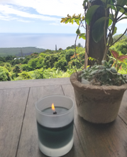 Illuminate Organic Coconut Wax Candle
